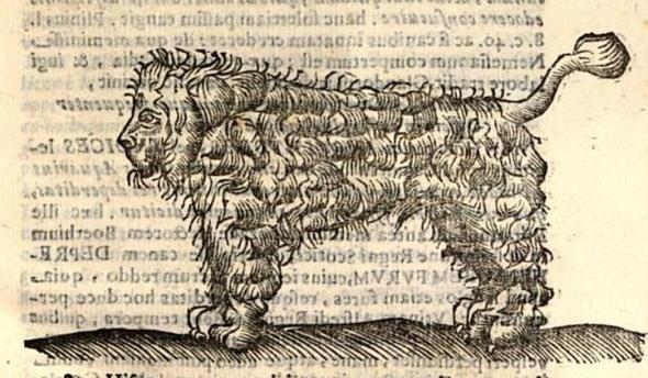 From De Natura et Solertia Canum, published in 1653.