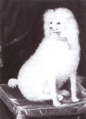 Boye, possibly painted by Rupert's sister Louise.